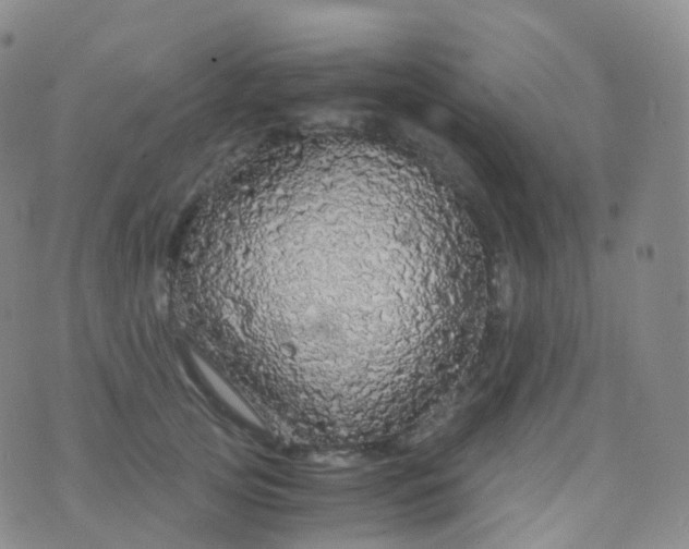 X0000076430753200610202244