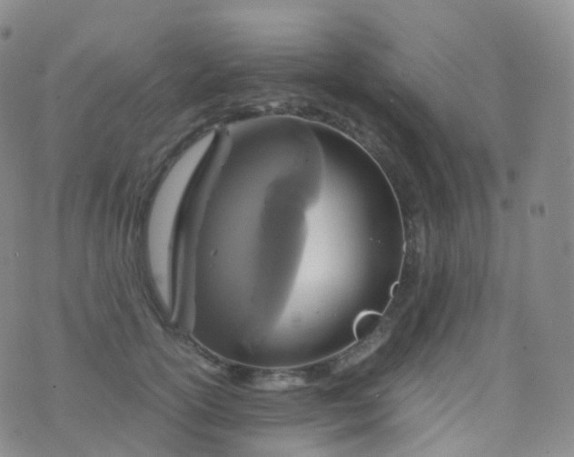 X0000076430754200610202244