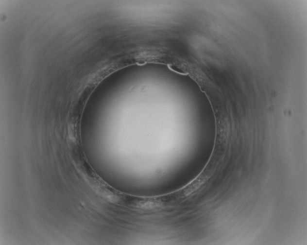 X0000076430755200610202244