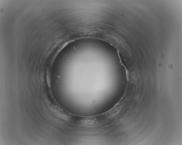 X0000076430756200610202245