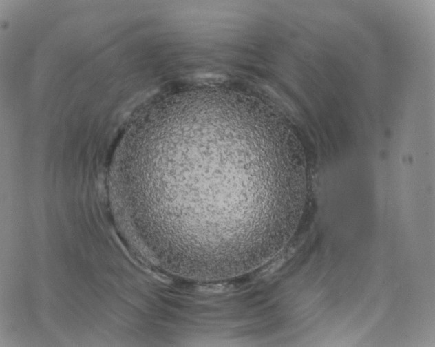 X0000076430757200610202245