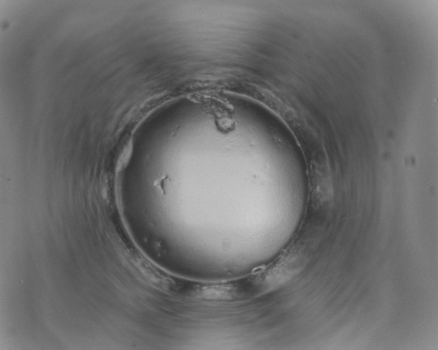 X0000076430758200610202245