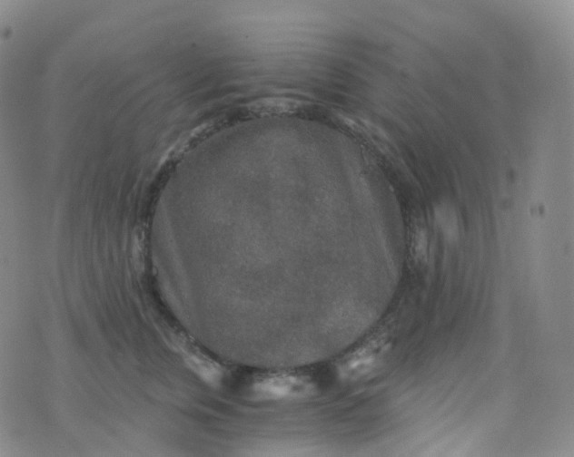 X0000076430759200610202245