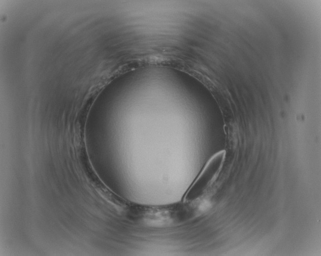 X0000076430760200610202245