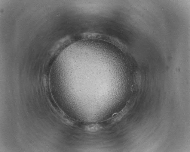 X0000076430761200610202245