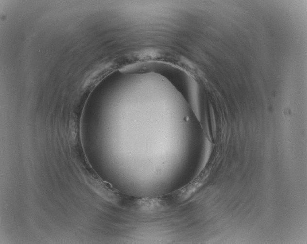 X0000076430762200610202245