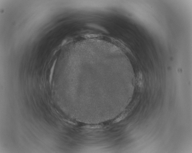 X0000076430763200610202245