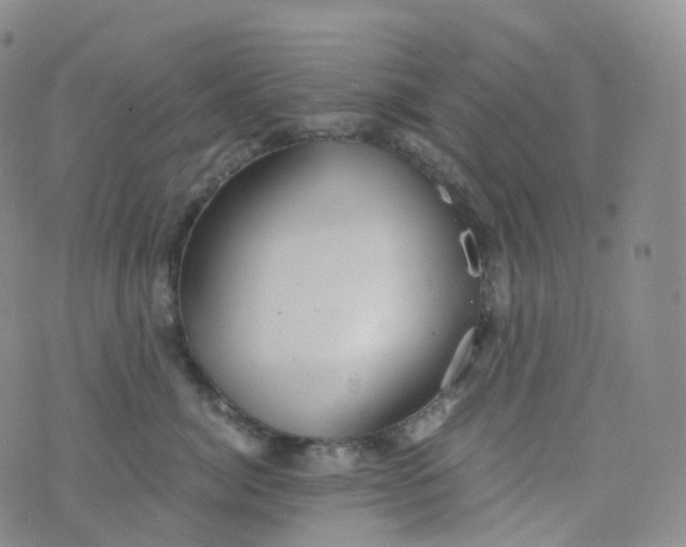 X0000076430764200610202245