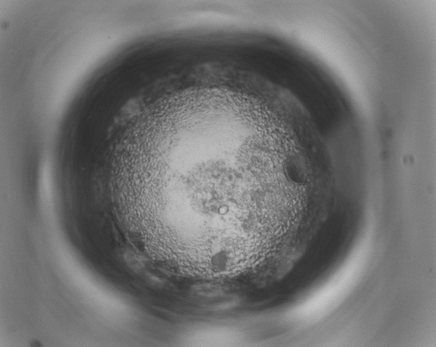 X0000076430765200610202245