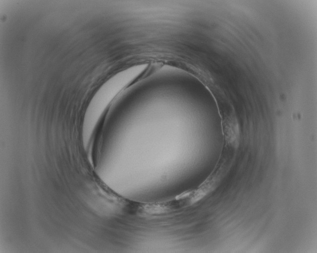 X0000076430766200610202245