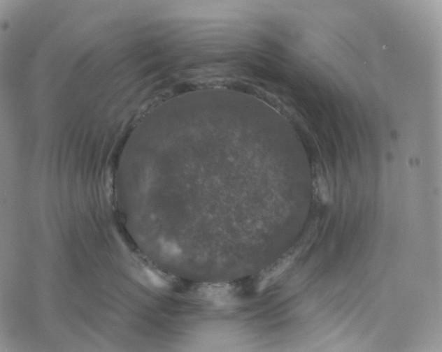 X0000076430767200610202245