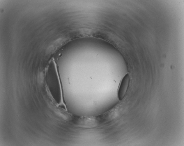 X0000076430768200610202245