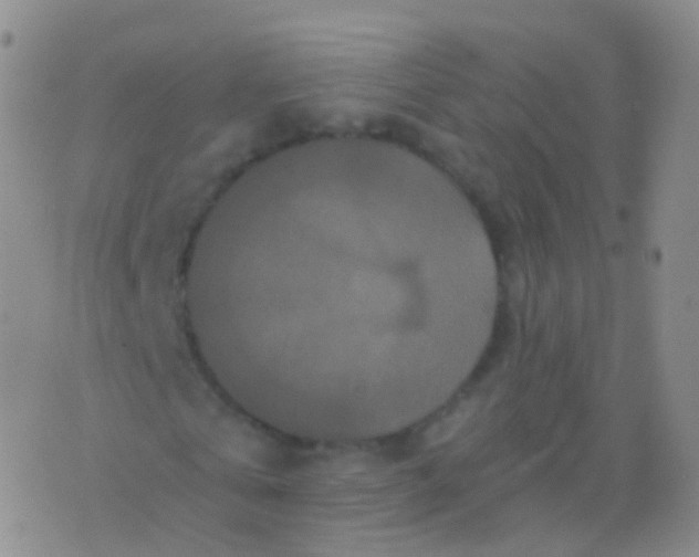 X0000076430769200610202244