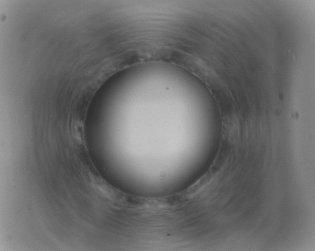 X0000076430770200610202244