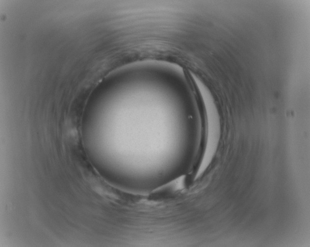 X0000076430771200610202244