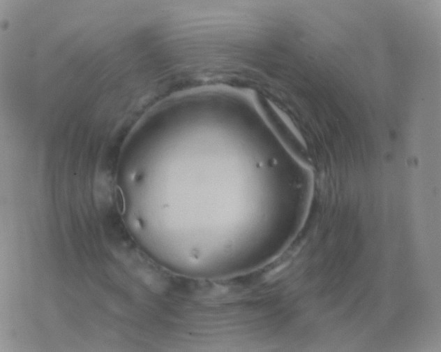 X0000076430772200610202244