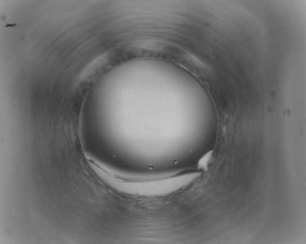 X0000076430774200610202244