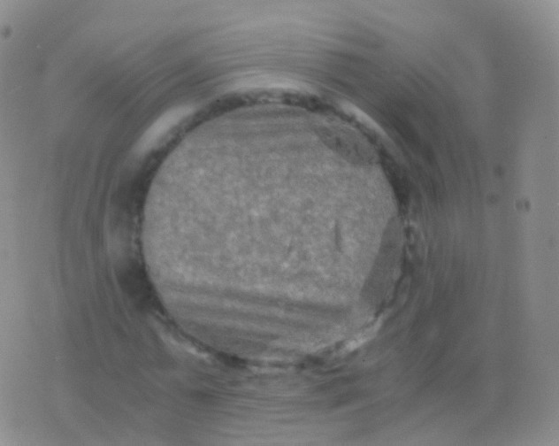 X0000076430775200610202244