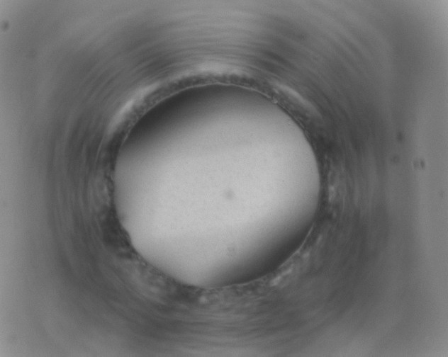 X0000076430776200610202244