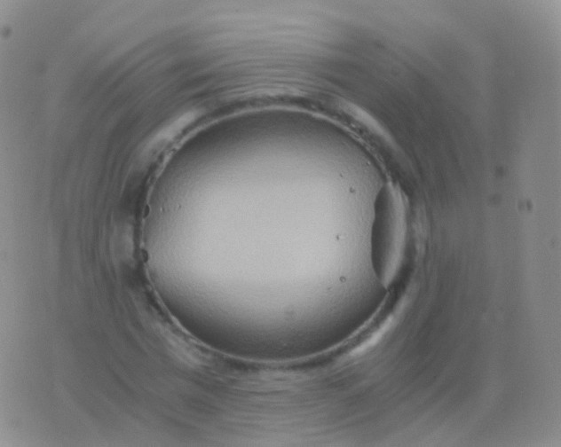 X0000076430777200610202244