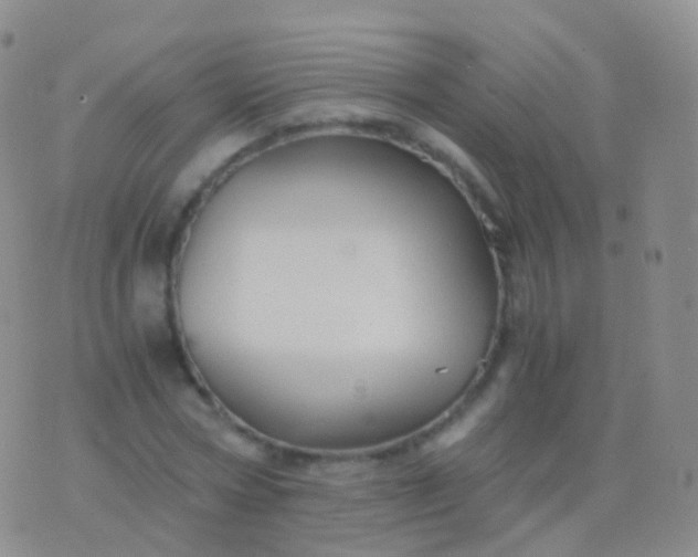 X0000076430778200610202244