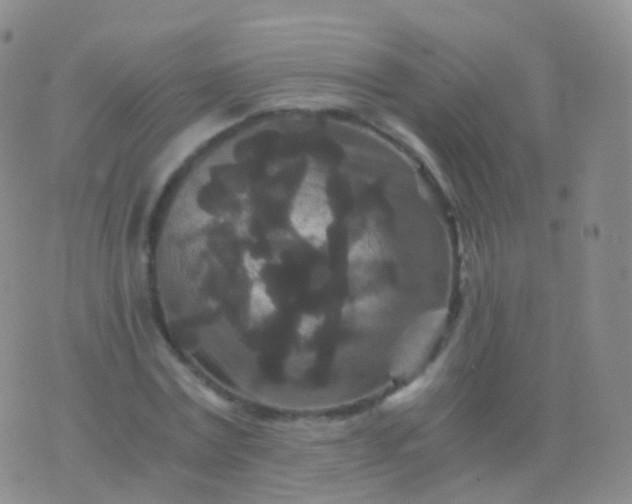 X0000076430779200610202244