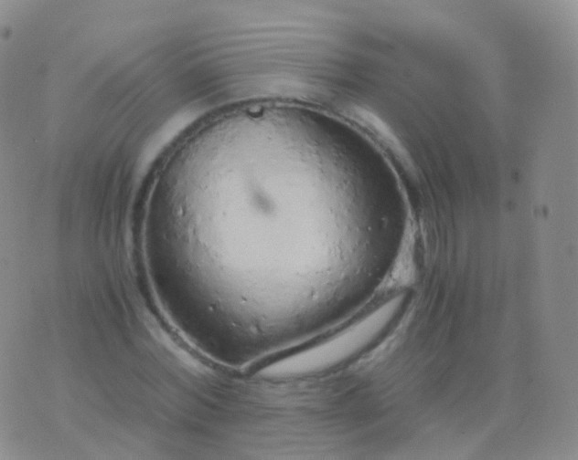 X0000076430780200610202244