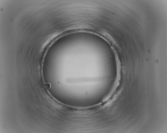 X0000076430781200610202244