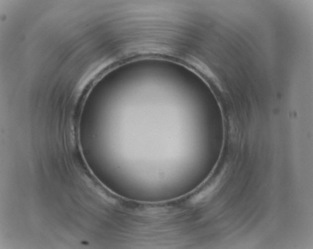 X0000076430782200610202244