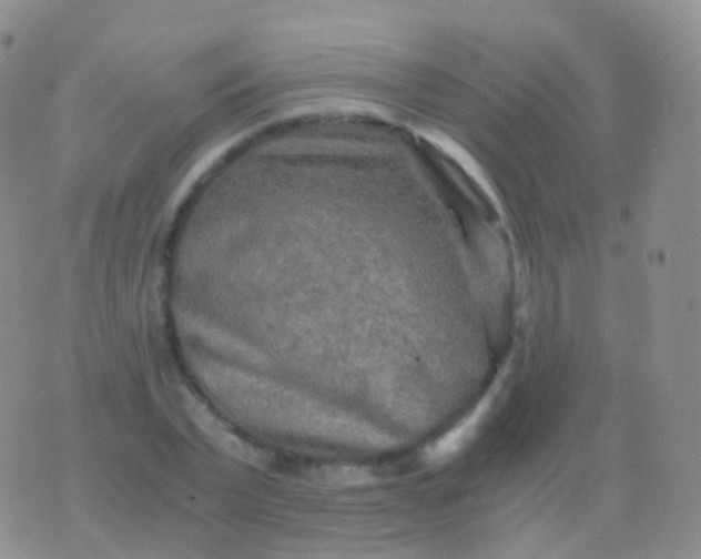 X0000076430783200610202244