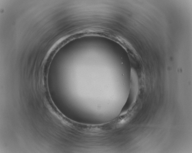 X0000076430784200610202244