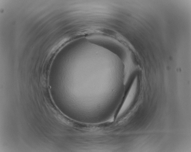 X0000076430785200610202244