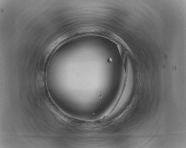 X0000076430786200610202244