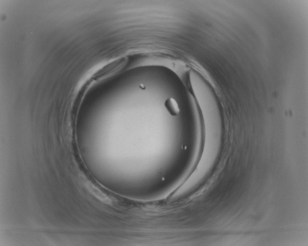 X0000076430787200610202244