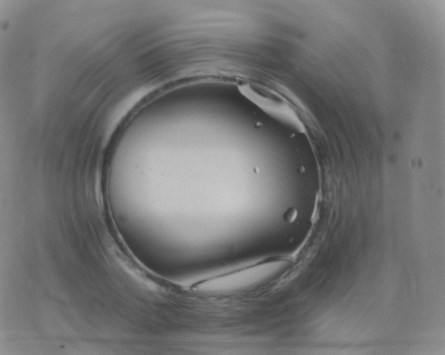 X0000076430788200610202244