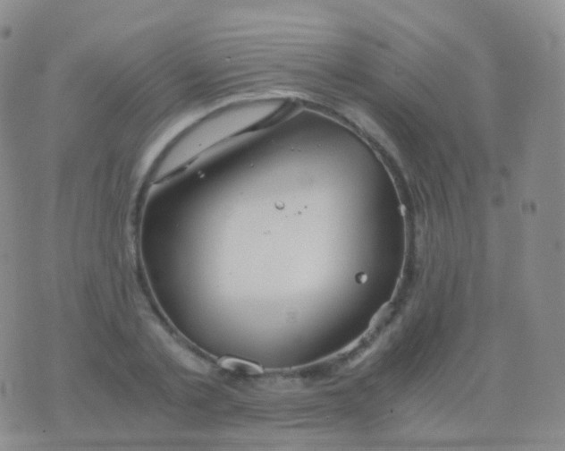 X0000076430789200610202244