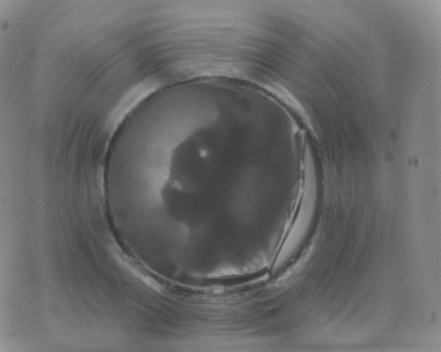 X0000076430790200610202244