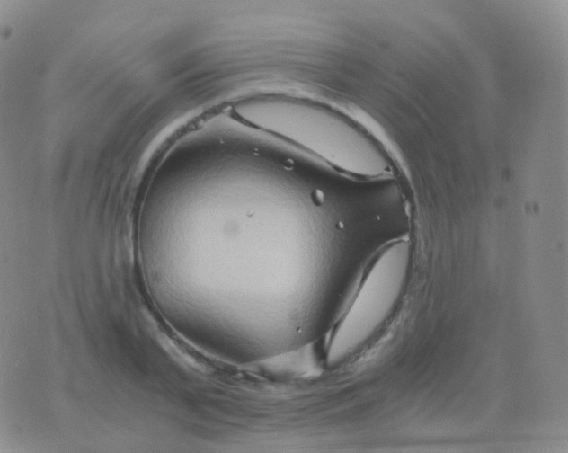 X0000076430791200610202244