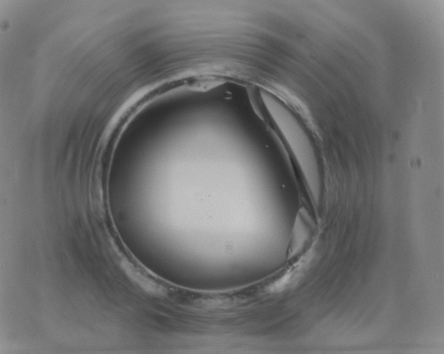 X0000076430792200610202244