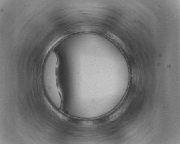 X0000076430794200610202244