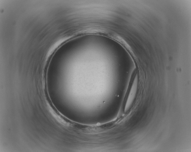 X0000076430795200610202244