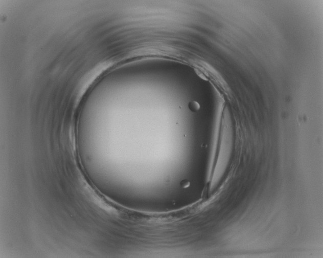 X0000076430796200610202243