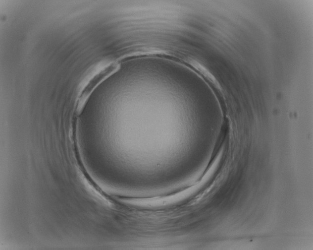 X0000076430797200610202243