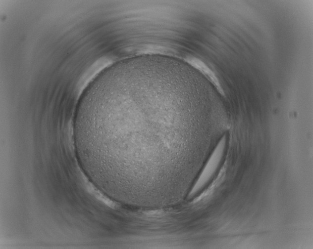 X0000076430798200610202243