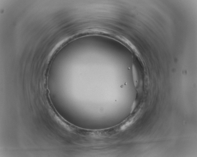 X0000076430799200610202243