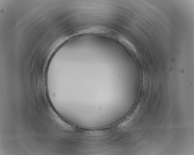 X0000076430800200610202243