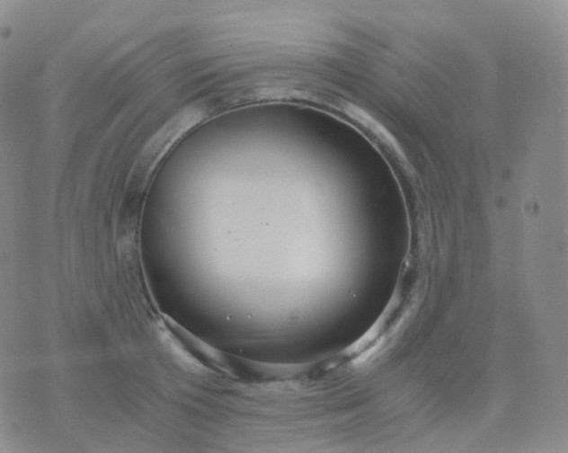 X0000076430801200610202243