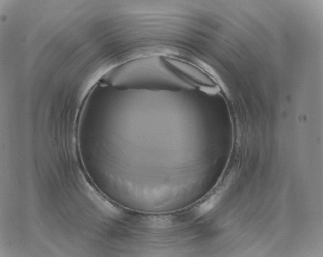 X0000076430802200610202243