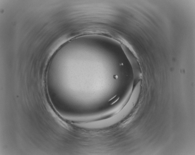 X0000076430803200610202243