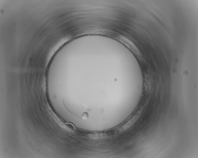 X0000076430804200610202243